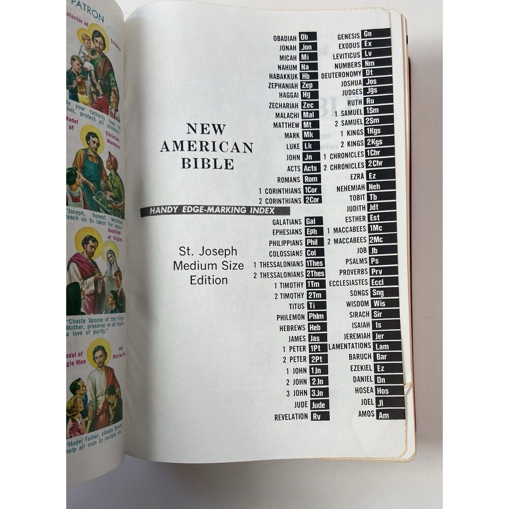 New American Bible Saint Joseph Ed Red + New Testament Translation Book Catholic - Picture 13 of 16